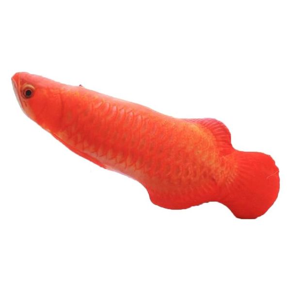 cat toys creative 3d fish shape kattenspeelgoed gift mint filled pillow doll gesimuleerde play pet toy
cat toys creative 3d fish shape kattenspeelgoed gift mint filled pillow doll gesimuleerde play pet toy