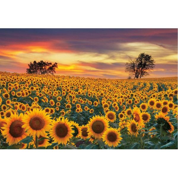 party decoration sunset clouds backdrop blooming sunflowers background wedding po pography studio props family holiday
party decoration sunset clouds backdrop blooming sunflowers background wedding po pography studio props family holiday