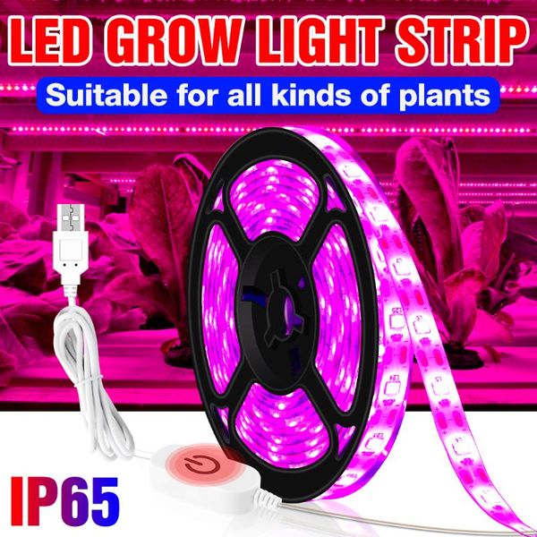grow lights full spectrum led plant lamp usb phyto growth light strip 0.5m 1m 2m 3m 5v touch dimming seeds seedling fito lampara
grow lights full spectrum led plant lamp usb phyto growth light strip 0.5m 1m 2m 3m 5v touch dimming seeds seedling fito lampara