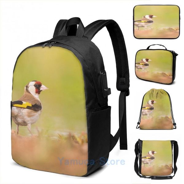 backpack graphic print european goldfinch (carduelis carduelis) in breeding plumage usb charge men school travel lapbag
backpack graphic print european goldfinch (carduelis carduelis) in breeding plumage usb charge men school travel lapbag
