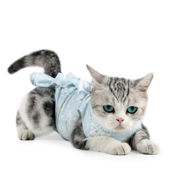 soft pet cat clothing autumn winter clothes sweater for small dogs cats chihuahua sphyn pug outfit coat costume #lr2 costumes
soft pet cat clothing autumn winter clothes sweater for small dogs cats chihuahua sphyn pug outfit coat costume #lr2 costumes