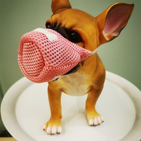 dog apparel mask accessories breathable anti barking biting puppy training protection supplies pet buckled dust-proof
dog apparel mask accessories breathable anti barking biting puppy training protection supplies pet buckled dust-proof