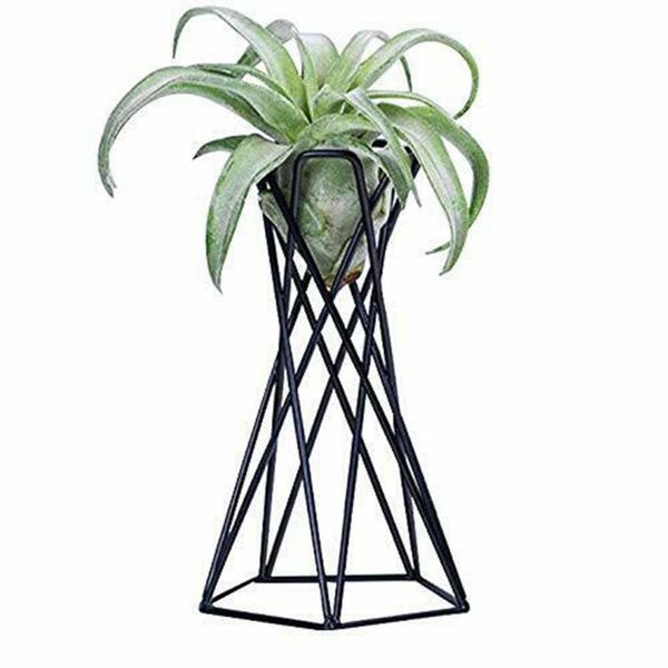 rustic irregular flower plant pot holder geometric metal rack air plants garden display decoration jdh88 other supplies
rustic irregular flower plant pot holder geometric metal rack air plants garden display decoration jdh88 other supplies