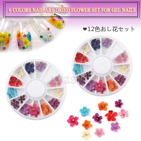 1set /lot summer 12 color dried flower for diy manicure nail art decorations natural floral dry flowers wheel1, Silver;gold
1set /lot summer 12 color dried flower for diy manicure nail art decorations natural floral dry flowers wheel1, Silver;gold