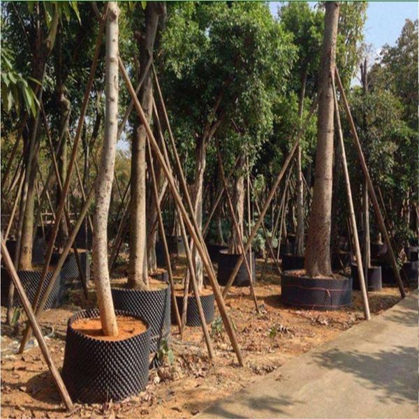 planters & pots air pruning plant root control nursery trainer fast grow container garden tree bonsai transplant tool nersery pot
planters & pots air pruning plant root control nursery trainer fast grow container garden tree bonsai transplant tool nersery pot