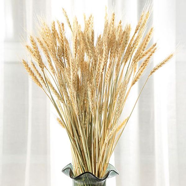 decorative flowers & wreaths 100pcs artificial wheat ears natural dried grain bouquet for wedding party decoration diy craft scrapbook home
decorative flowers & wreaths 100pcs artificial wheat ears natural dried grain bouquet for wedding party decoration diy craft scrapbook home