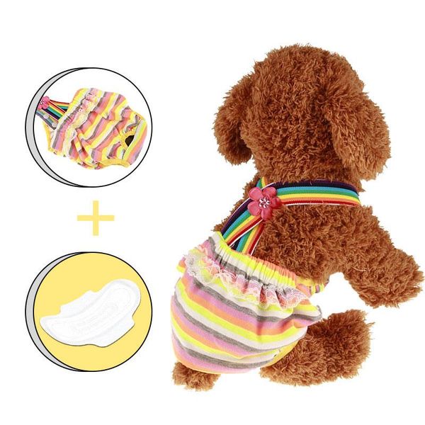 colorful breathable safety dogs physical pant dog rainbow fashion underwear pet panties flower puppy shorts diapers apparel
colorful breathable safety dogs physical pant dog rainbow fashion underwear pet panties flower puppy shorts diapers apparel