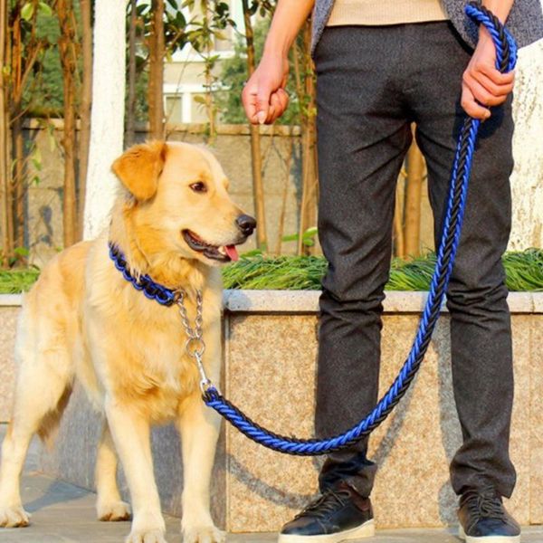 1.2m dog leash rope running walking training lead for small medium large dogs outdoor pet supplies nylon leashes collars &
1.2m dog leash rope running walking training lead for small medium large dogs outdoor pet supplies nylon leashes collars &
