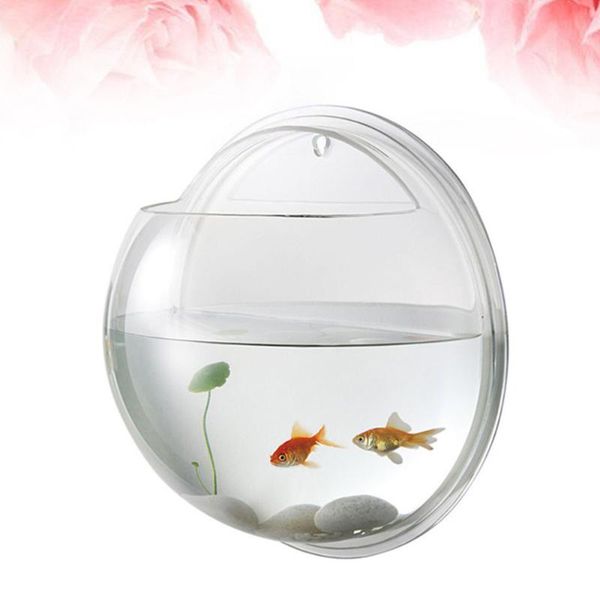 aquariums 19.5cm diameter creative wall mounted acrylic fish bowl hanging aquarium tank transparent home ornament
aquariums 19.5cm diameter creative wall mounted acrylic fish bowl hanging aquarium tank transparent home ornament