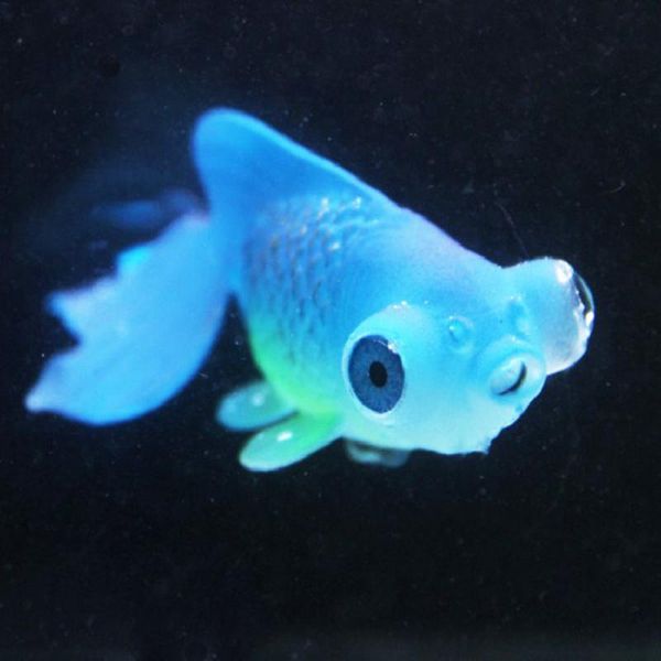 fish tank decoration silicone aquarium decoratie lion landscaping decor glowing effect animal ornament k409 decorations
fish tank decoration silicone aquarium decoratie lion landscaping decor glowing effect animal ornament k409 decorations