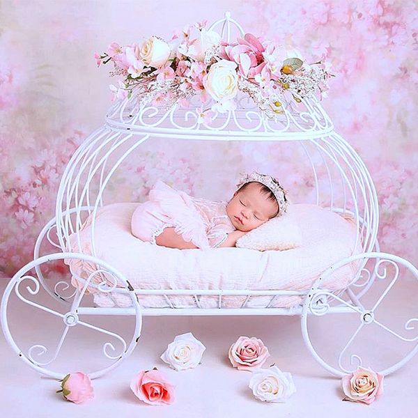 newborn pgraphy props baby iron princess cinderella carriage prop posing pumpkin car poser fotografia p prop accessories
newborn pgraphy props baby iron princess cinderella carriage prop posing pumpkin car poser fotografia p prop accessories