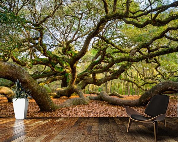 papel de parede angel oak tree natural landscape 3d wallpaper mural,living room tv wall bedroom paper home decor wallpapers
papel de parede angel oak tree natural landscape 3d wallpaper mural,living room tv wall bedroom paper home decor wallpapers