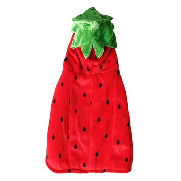 cat clothes halloween cute red strawberry transform winter jacket dog costume outfit for small dogs two feet costumes
cat clothes halloween cute red strawberry transform winter jacket dog costume outfit for small dogs two feet costumes