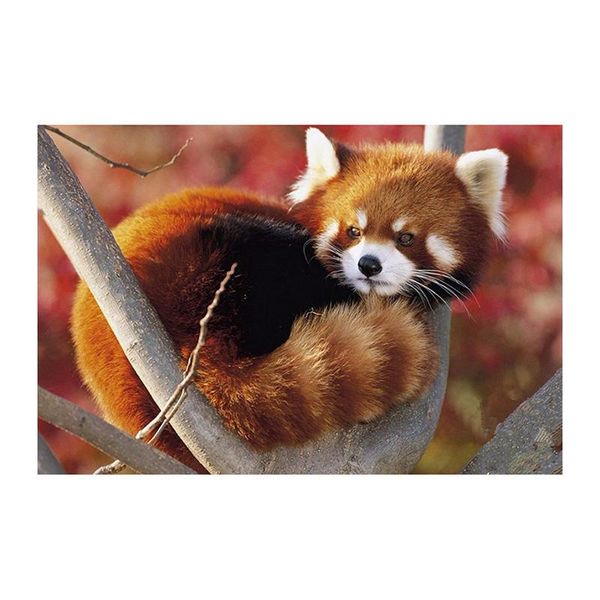 diamond painting embroidery red panda diy animals full drill mosaic pasted canvas cross stitch crafts needlework
diamond painting embroidery red panda diy animals full drill mosaic pasted canvas cross stitch crafts needlework