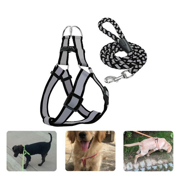 size l pet collars large reflective dogs collar harness leash nylon pitbull for cat accessories supplies dog & leashes
size l pet collars large reflective dogs collar harness leash nylon pitbull for cat accessories supplies dog & leashes