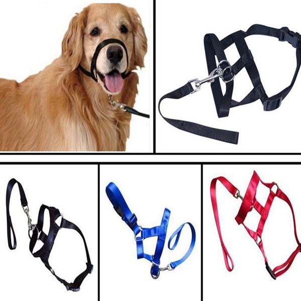dog collars & leashes pet padded head collar nylon training no pull harness spulling muzzles tools
dog collars & leashes pet padded head collar nylon training no pull harness spulling muzzles tools