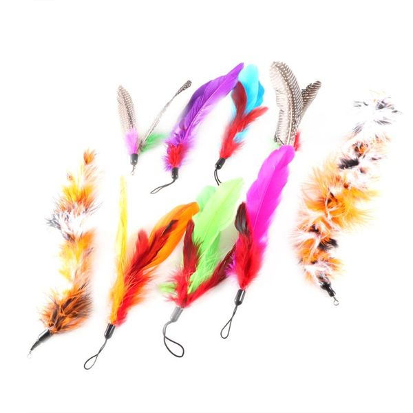 cat toys pcs replacement feathers for interactive and kitten wands 
cat toys pcs replacement feathers for interactive and kitten wands