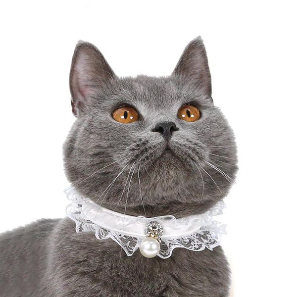 cat collars & leads adjustable buckle collar pet kitten puppy pearl pendant choker necklace neck 22cm-32cm black white
cat collars & leads adjustable buckle collar pet kitten puppy pearl pendant choker necklace neck 22cm-32cm black white