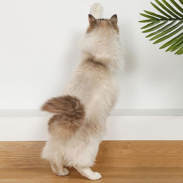 cat toys laser toy led kitten interactive puzzle training entertaining automatic pet play drop
cat toys laser toy led kitten interactive puzzle training entertaining automatic pet play drop