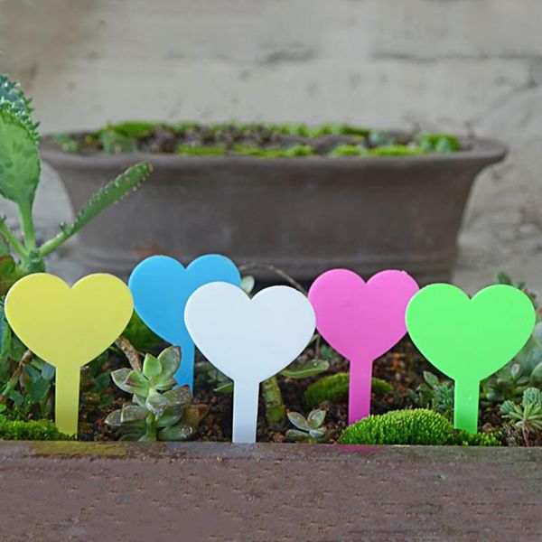 other garden supplies 100pcs plant seedling label card tag insert mark diy hang flowers pots pe color tags gardening tools flower decoration
other garden supplies 100pcs plant seedling label card tag insert mark diy hang flowers pots pe color tags gardening tools flower decoration