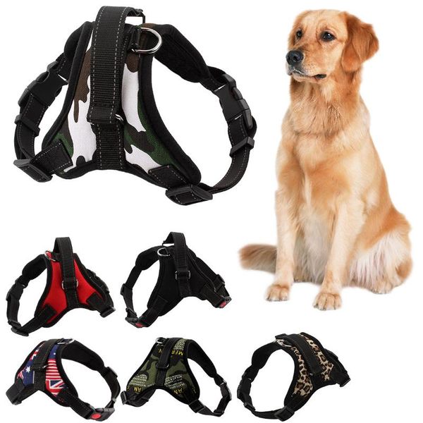 dog collars & leashes 6 colors adjustable pet puppy large harness for small medium dogs animals walking hand strap supplies
dog collars & leashes 6 colors adjustable pet puppy large harness for small medium dogs animals walking hand strap supplies