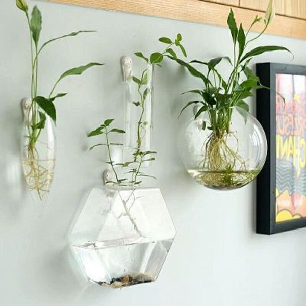 vases o.roselif 1pcs handmade hexagonal wall clear terrarium vase finish tank wedding decoration home hydroponic office
vases o.roselif 1pcs handmade hexagonal wall clear terrarium vase finish tank wedding decoration home hydroponic office