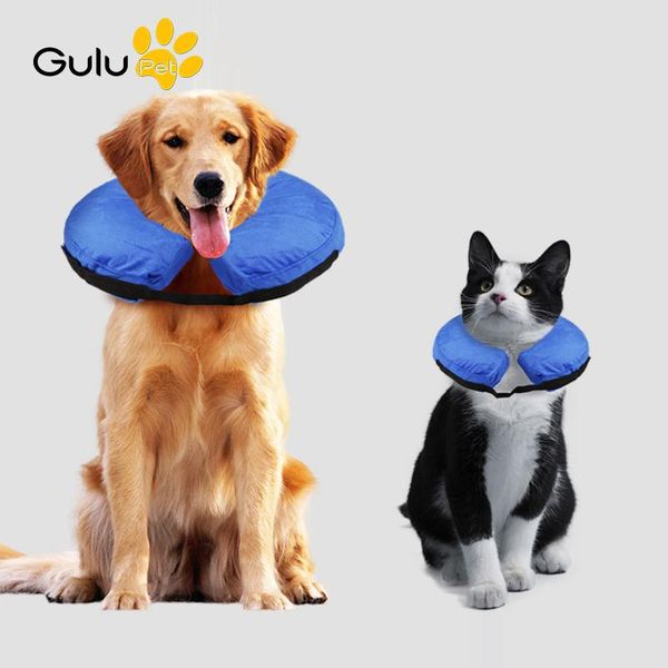 dog collars & leashes collar inflatable pet anti-bite/scratch neck protective circle puppy care
dog collars & leashes collar inflatable pet anti-bite/scratch neck protective circle puppy care