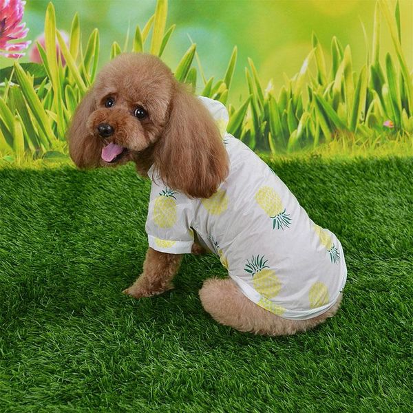 dog apparel raincoat summer sun protection hoodie small clothes fashion sun-proof clothing fruit pattern beach jj80153
dog apparel raincoat summer sun protection hoodie small clothes fashion sun-proof clothing fruit pattern beach jj80153