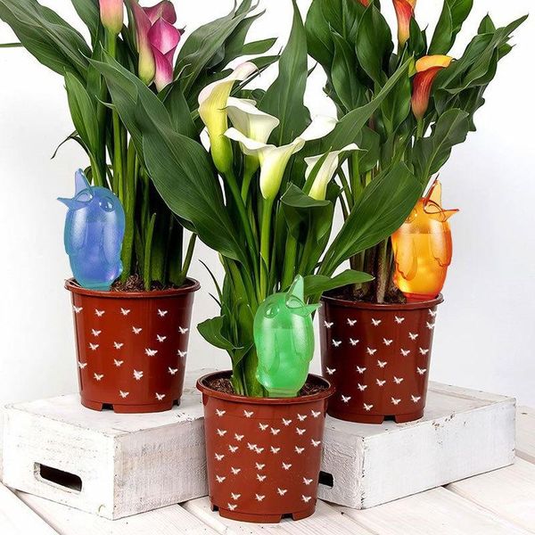 automatic watering tool cute bird indoor waterer dripper plant flower family travel equipments
automatic watering tool cute bird indoor waterer dripper plant flower family travel equipments