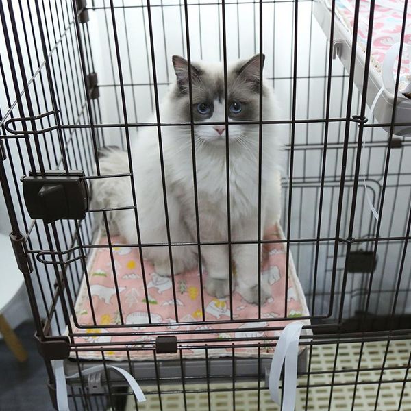 cat beds & furniture hanging hammock pet supplies sleeping seat cage breathable double-sided luxary dog for small dogs
cat beds & furniture hanging hammock pet supplies sleeping seat cage breathable double-sided luxary dog for small dogs