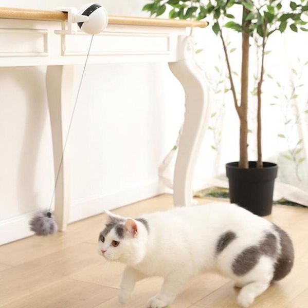 cat toys puzzle pet toy electronic motion interactive teaser yo-yo lifting ball electric flutter rotating
cat toys puzzle pet toy electronic motion interactive teaser yo-yo lifting ball electric flutter rotating
