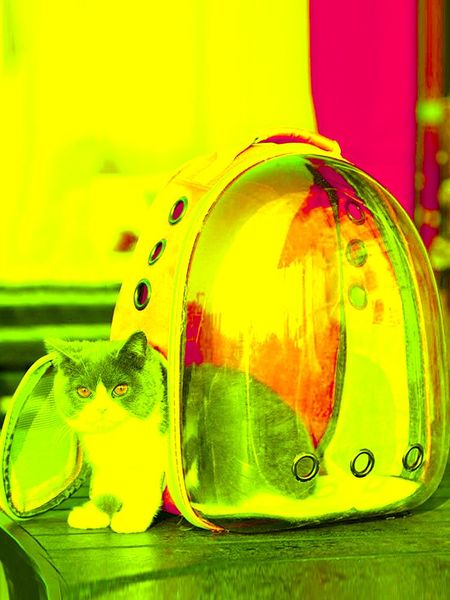 portable cat carrier bag breathable pet carriers small dog backpack transport outdoor travel space cage pets carriers,crates & house houses
portable cat carrier bag breathable pet carriers small dog backpack transport outdoor travel space cage pets carriers,crates & house houses