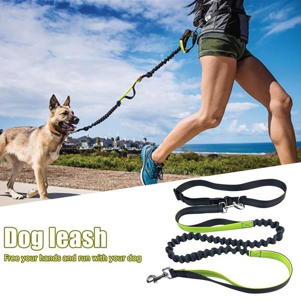 reflective hand dog leash running jogging pet lead belt waist elastic rope sport walking hiking durable adjustable supplies collars & l
reflective hand dog leash running jogging pet lead belt waist elastic rope sport walking hiking durable adjustable supplies collars & l