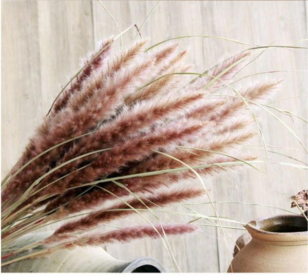 real plants dried small pampas grass flowers pantas artificiales para decoracion home decor wedding decoration 15pcs decorative & wreaths
real plants dried small pampas grass flowers pantas artificiales para decoracion home decor wedding decoration 15pcs decorative & wreaths