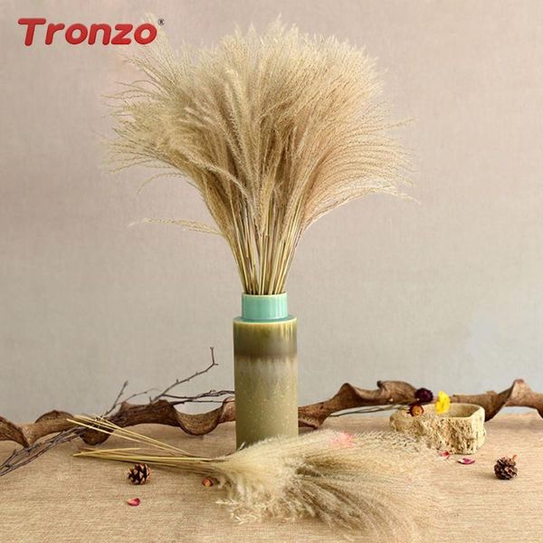 decorative flowers & wreaths tranzo 10pcs dried pampas grass natural phragmites reed bunch of dries decoration for home wedding party
decorative flowers & wreaths tranzo 10pcs dried pampas grass natural phragmites reed bunch of dries decoration for home wedding party