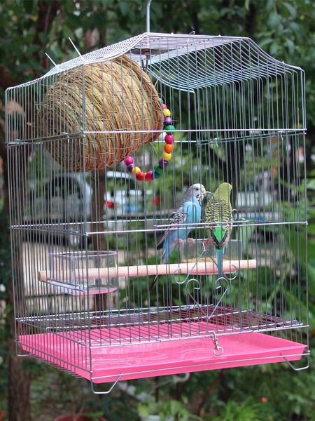 bird cages stainless cage large parrot 1pcs budgerigar wrought iron thrush embroidered starling birdhouse
bird cages stainless cage large parrot 1pcs budgerigar wrought iron thrush embroidered starling birdhouse