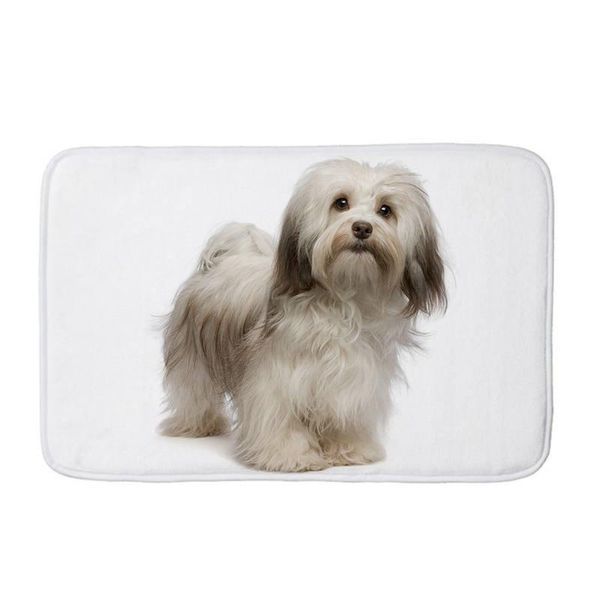 pug pet dog cat printed floor mat anti-slip tapete mats kitchen doormat welcome for front door carpets
pug pet dog cat printed floor mat anti-slip tapete mats kitchen doormat welcome for front door carpets