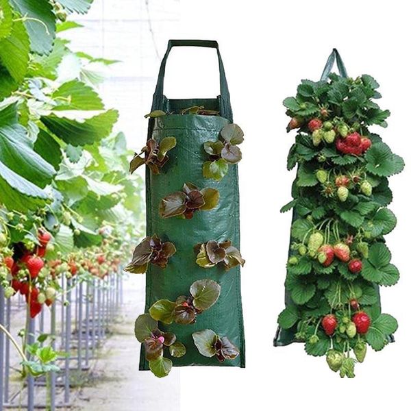 planters & pots 4 8 pockets strawberry grow pot vertical garden plant bags planter planting pe wall hanging potato plants for veg flowe
planters & pots 4 8 pockets strawberry grow pot vertical garden plant bags planter planting pe wall hanging potato plants for veg flowe