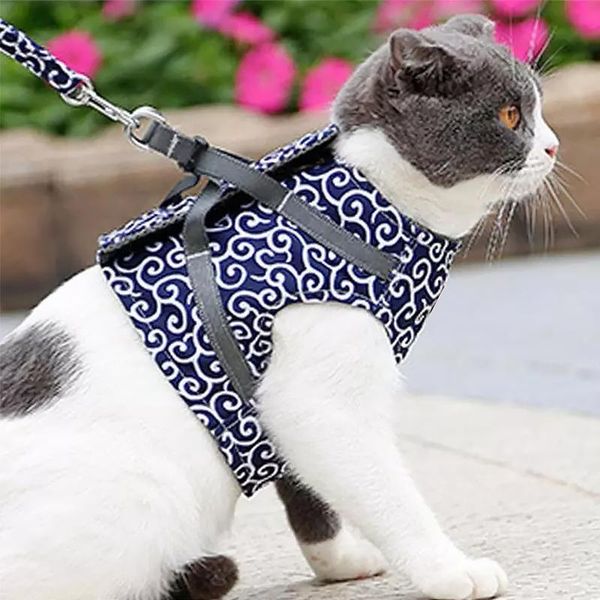 pet cat vest harness canvas fabric travel outdoor walking leash set small kitten removable vests supplies costumes
pet cat vest harness canvas fabric travel outdoor walking leash set small kitten removable vests supplies costumes