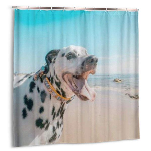 shower curtain,dalmatian on the ocean beach,custom design waterproof shower curtains bathroom decor include hooks, extra long
shower curtain,dalmatian on the ocean beach,custom design waterproof shower curtains bathroom decor include hooks, extra long