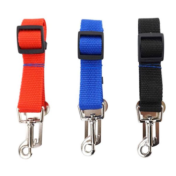 dog collars & leashes pet supplies hauling cable cat harness and leash set nylon mesh kitten perros dla psa correa perro accessories
dog collars & leashes pet supplies hauling cable cat harness and leash set nylon mesh kitten perros dla psa correa perro accessories