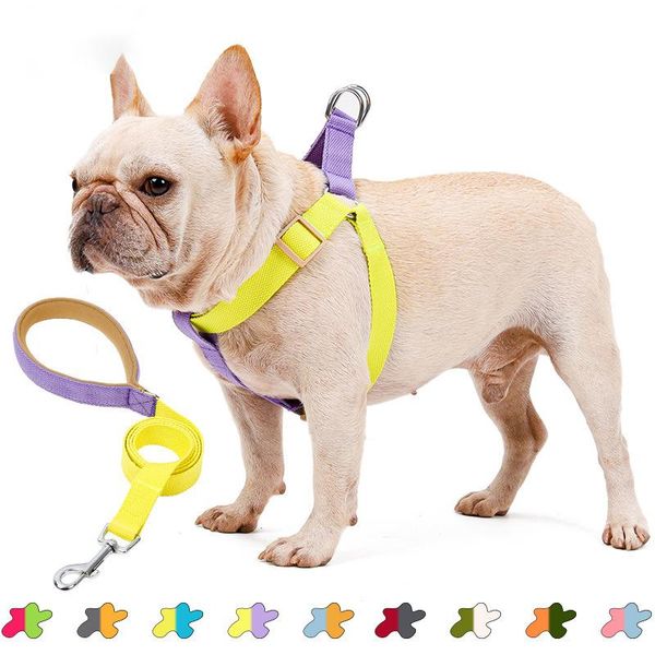 dog collars & leashes ins colorful leash running walk trainning for large small cat pet durable nylon rope supplies
dog collars & leashes ins colorful leash running walk trainning for large small cat pet durable nylon rope supplies