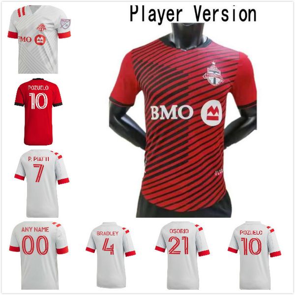 toronto 2021 fc soccer jerseys 10 pozuelo 17 altidore bradley giovinco osorio morrow custom 20 21 22 home away kids football shirt, Black
toronto 2021 fc soccer jerseys 10 pozuelo 17 altidore bradley giovinco osorio morrow custom 20 21 22 home away kids football shirt, Black