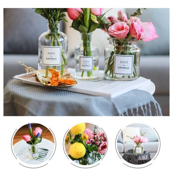 simple transparent glass small vase nordic decoration living room flower home vases bottle
simple transparent glass small vase nordic decoration living room flower home vases bottle