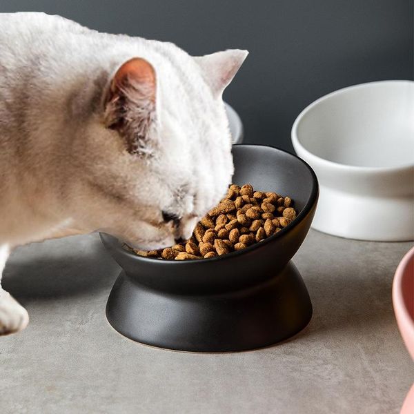 cat bowls & feeders ceramic bowl dog pet oblique mouth high foot protection cervical spine food supplies
cat bowls & feeders ceramic bowl dog pet oblique mouth high foot protection cervical spine food supplies