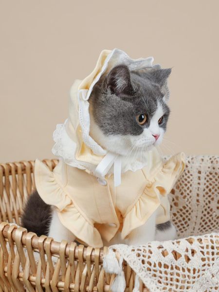cat costumes thin summer hoodie shedding vest sleeveless suit with hat spring clothing for cats small dogs pet clothes chihuahua
cat costumes thin summer hoodie shedding vest sleeveless suit with hat spring clothing for cats small dogs pet clothes chihuahua