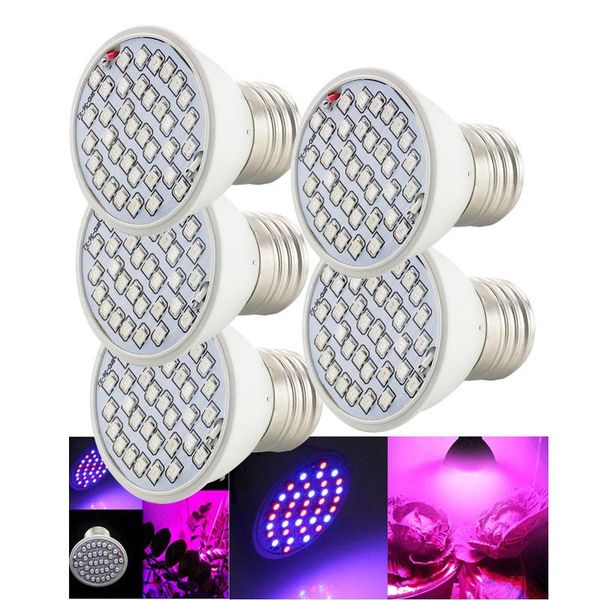 grow lights 10pcs 36 led plants lamp hydroponics phytolamp veg e27 bulbs flower cultivo growing box tent light indoor greenhouse t1
grow lights 10pcs 36 led plants lamp hydroponics phytolamp veg e27 bulbs flower cultivo growing box tent light indoor greenhouse t1