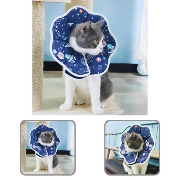 cat collars & leads pet bite collar cute easily wear breathable waterproof kitten for
cat collars & leads pet bite collar cute easily wear breathable waterproof kitten for