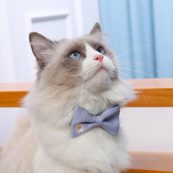 cat bow tie accessories fashion pet supplies korean embroidered daisy flower necklace embroidery chamomile floral collar costumes
cat bow tie accessories fashion pet supplies korean embroidered daisy flower necklace embroidery chamomile floral collar costumes