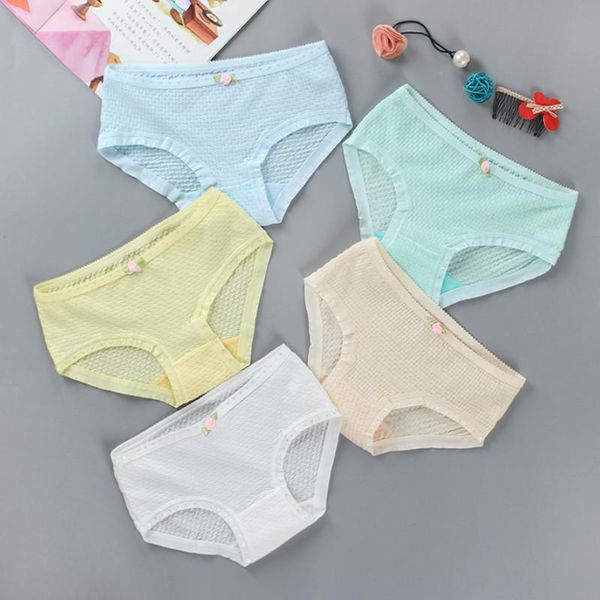 panties 5pc/lot girls cotton summer low waist briefs children's students girl underwear, Camo
panties 5pc/lot girls cotton summer low waist briefs children's students girl underwear, Camo